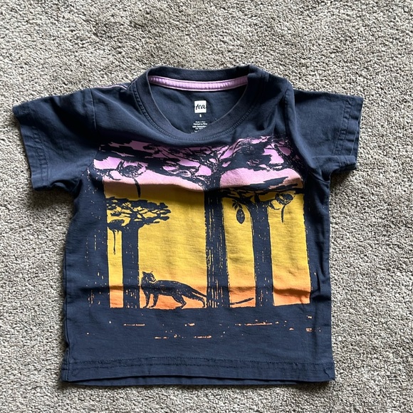 2T tshirts - Picture 3 of 6